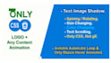 animate website logo or any content by CSS coding