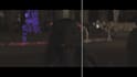 do rotoscoping, remove background and object from video