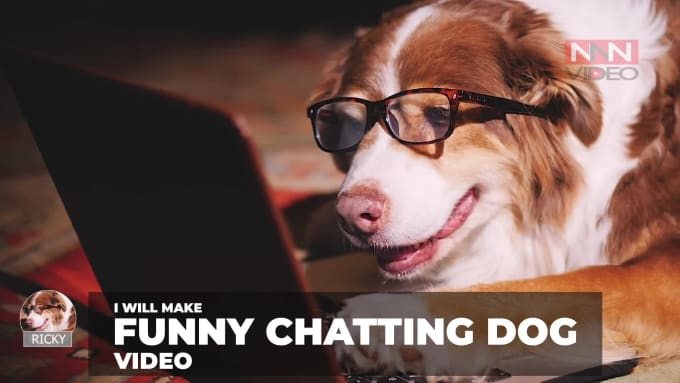 Make short funny video ads with funny chatting dog by Tuanla85 | Fiverr