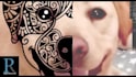 create detailed vector illustrations for laser engraving and cnc machines