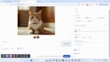 develop any professional or academic machine learning ai project