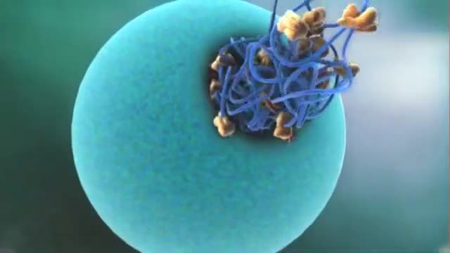 3d bio medical animation 3d medical explainer video 3d anatomy 3d surgery video