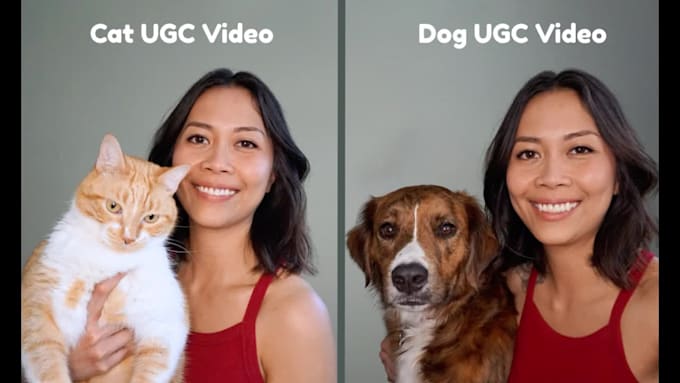 create dog or cat ugc video ads for your pet products and services