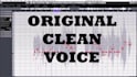 realistic autotuning, pitch correcting, edit and efx your voice