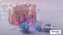 create 3d medical device animation, surgical animation, pharmaceutical moa video