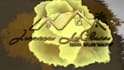 make professional real estate 3d logo intro animation