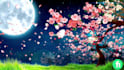 create HD meditation relaxing music videos