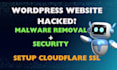 do wordpress malware removal, cloudflare SSL certificate, wordpress security