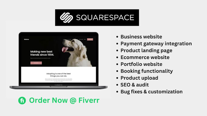 build professional, responsive squarespace website, bug fix