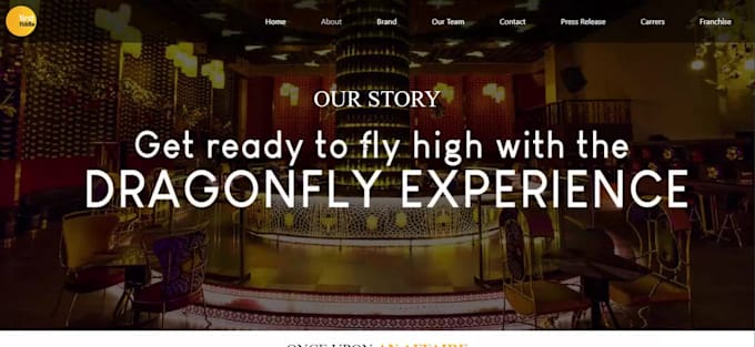 build a professional responsive website