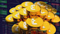 create crypto explainer and forex trading videos for youtube