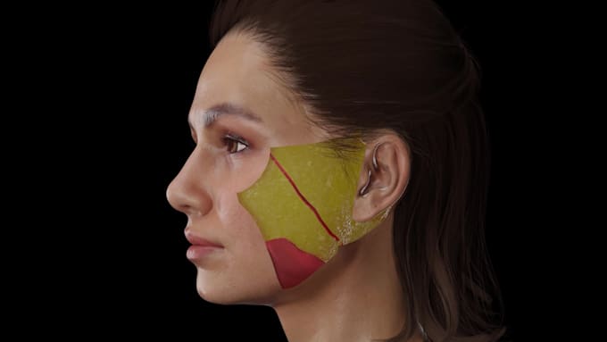 make 3d medical animation for a product or procedure