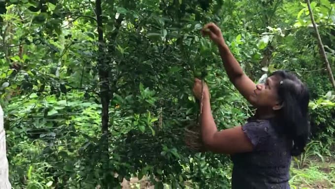 make viral village cooking videos for your youtube