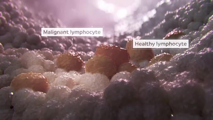 create 3d medical animation pharmaceutical moa scientific visualization video