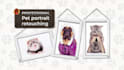 do your pet photo retouching and pet portrait editing in photoshop professional