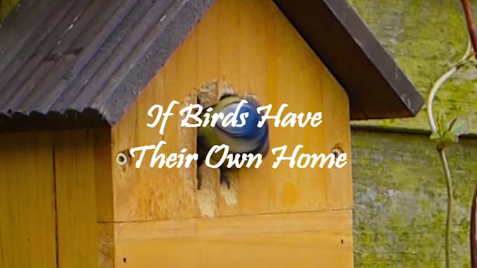 create real estate videos for agent promotion