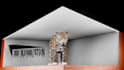 create viral cgi, vfx ads animation for reels