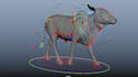 advance 3d character rigging  in maya