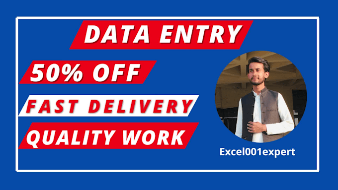 do excel data entry in one day