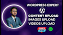 do wordpress data entry, content upload, and product listing on your website