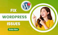 fix wordpress issues error bug, update wordpress website, elementor, woocommerce