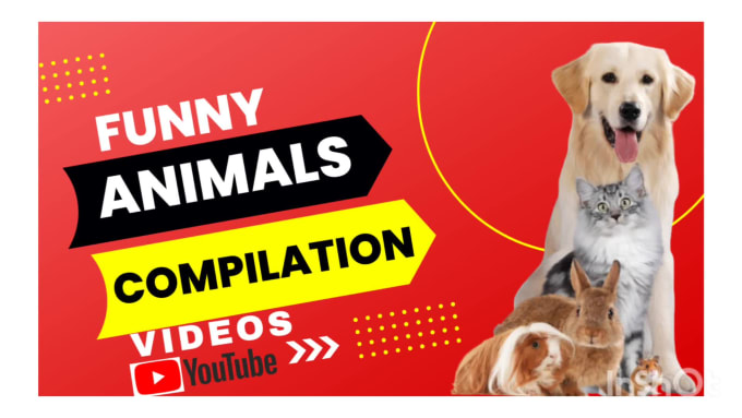 Create monetizable funny pet compilation videos for youtube by Ashique_kc | Fiverr Create monetizable funny pet compilation videos for youtube by Ashique_kc | Fiverr