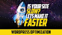 do wordpress speed optimization for google pagespeed insights