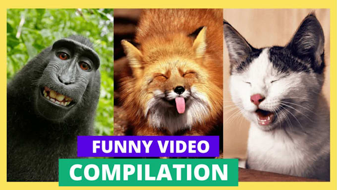 create amazing compilation video for youtube