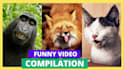 create amazing compilation video for youtube