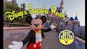 create a surprise disney trip reveal
