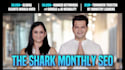 monthly SEO guest post package with contextual backlinks