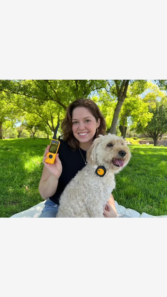 create dog or cat ugc videos for your pet product and services