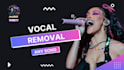 remove vocals from any song, make high quality instrumental