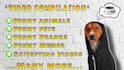 make monetizable funny viral videos for facebook or youtube
