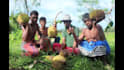 make natural village cooking video for your youtube