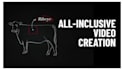 create a full video production for your business