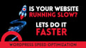speed up wordpress website speed in 24hours