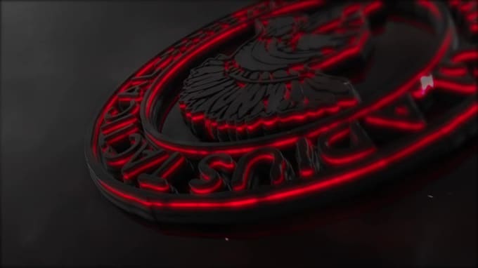 create a professional looking animation for your logo