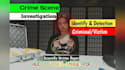 provide forensic video and image analysis with scientific report