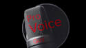 be the voice over for your youtube intro