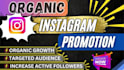 instagram promotion for perfect fast organic growth