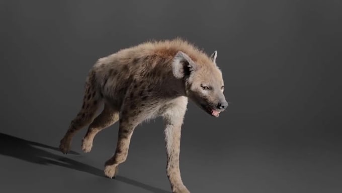 do 3d cgi animal composting 3d animal model 3d animation 3d bird design vfx cgi