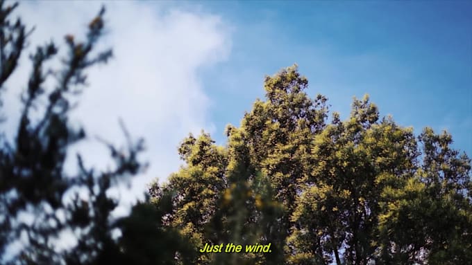 edit your travel video cinematically