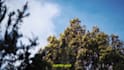 edit your travel video cinematically