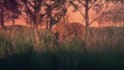 do 3d cgi animal compositing, 3d animal model and animation, cgi vfx, vfx, cgi