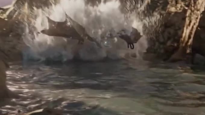 do lifelike 3d water, 3d fluid, vfx water water simulation, liquid simulation