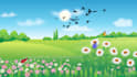 create animation and motion graphics for your business