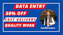 do fast excel data entry in less price