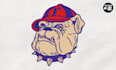 do the patch embroidery digitizing design into pes, dst, jef   in 2 hr