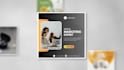 create or edit canva social media templates and videos